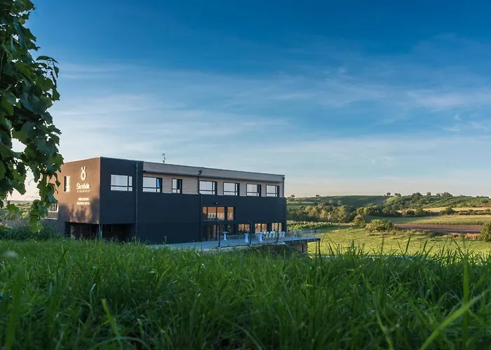 Boutique Hotel Vinarstvi Skrobak Cejkovice  photo
