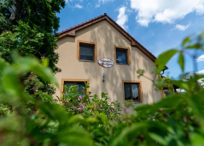 Penzion U Sykoru Domanin photo