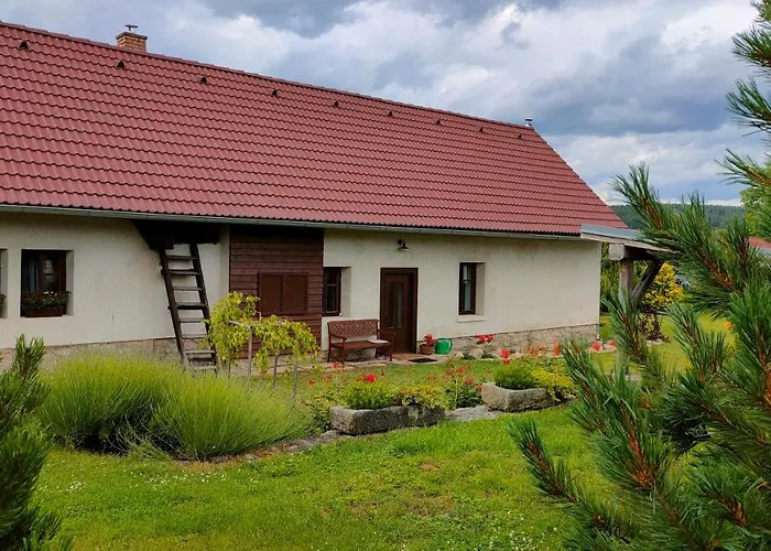 Old Style Cottage Horni Paseka photo