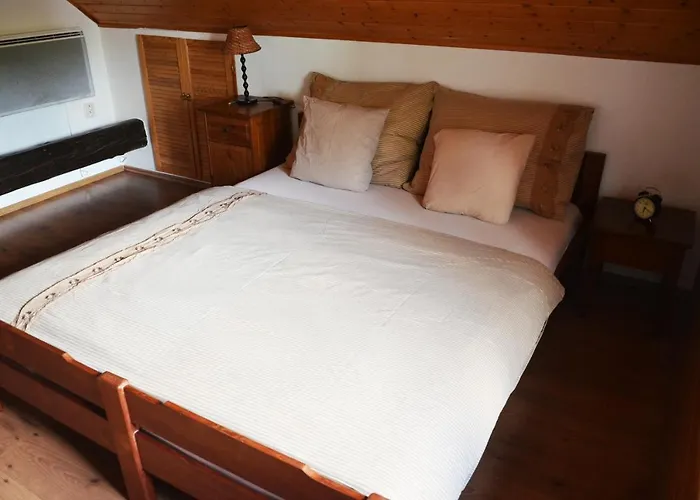 Chalupa V Moravskem Krasu V Obci Lipovec照片