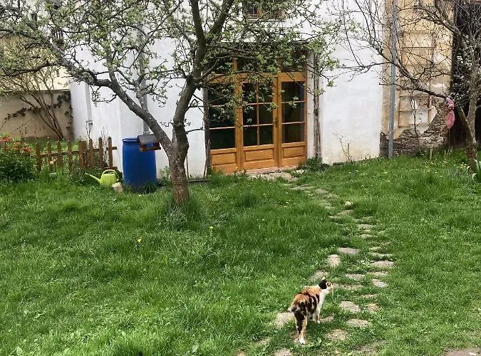 Stare Dekanstvi Utery照片