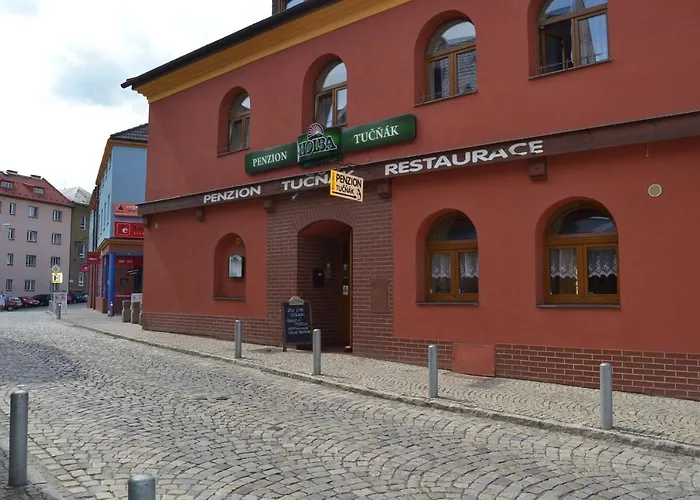 fotos do Penzion Tučňák Zábřeh