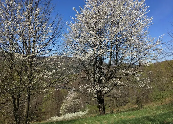 Chalupa Řeka - Na samotě u lesa fotorgafie