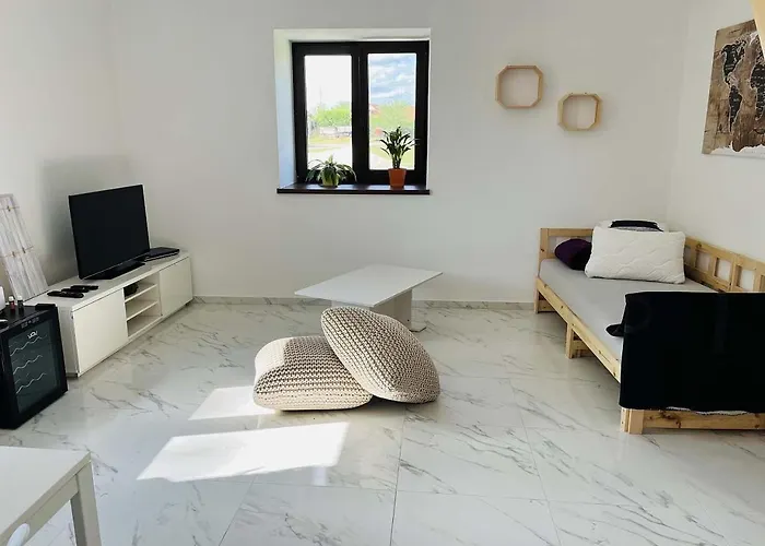 Ubytovani U Rozarky Hranice u Novych Hraduの写真