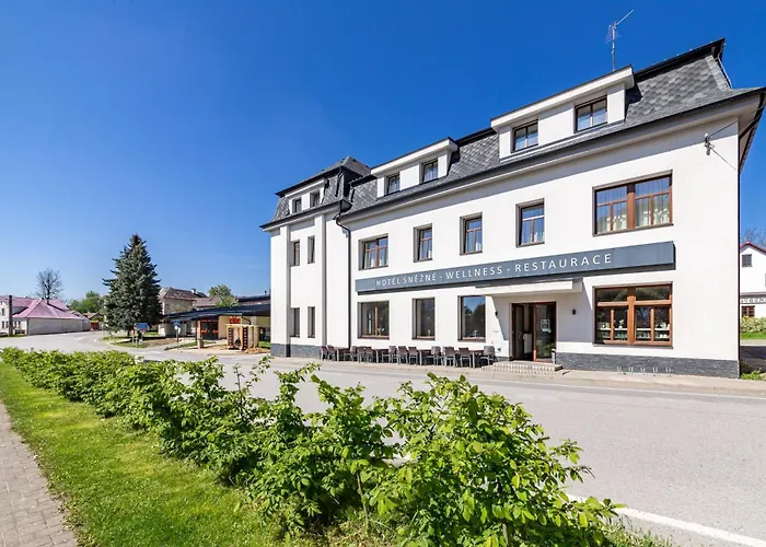 صورة Hotel Snezne