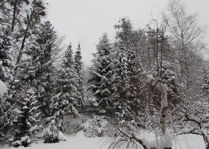 Nýdek Dum U Rybnikaヴィラの写真