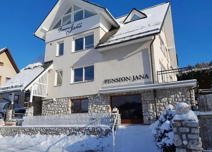 Pension Jana - Wellness 일렘니체 사진