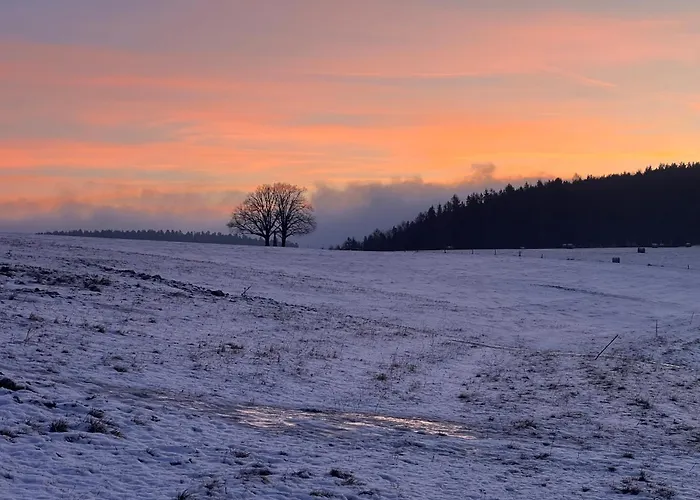 Penzion Nivy Alice A Petra Jandovych Valentova 사진