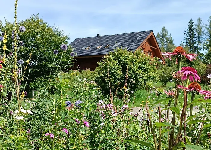 Фото Srub Javorna - Apartmany Sumava