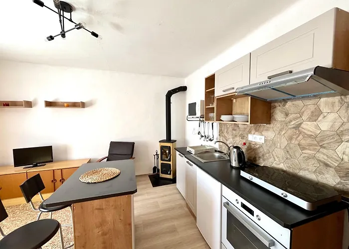 Apartman U Sadu Miletín照片