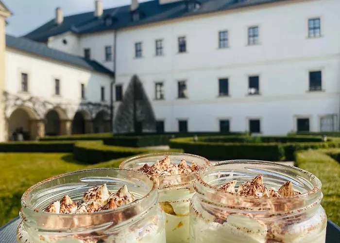 Hotel Zamek Letohrad照片