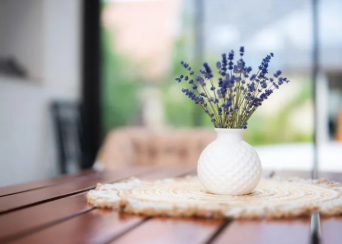 Dankovice Ubytovani Cankovice - Domek Se Zahradou Pobliz Chrudimi תמונה