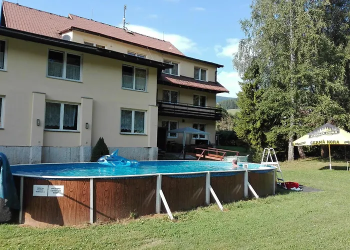 Hotel Reoneo Vernířovice fotoğrafı