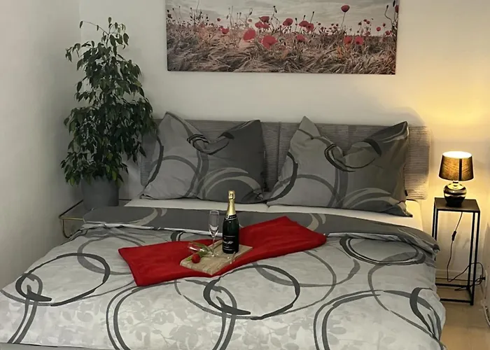 Apartman Collie Silŭvky fotorgafie