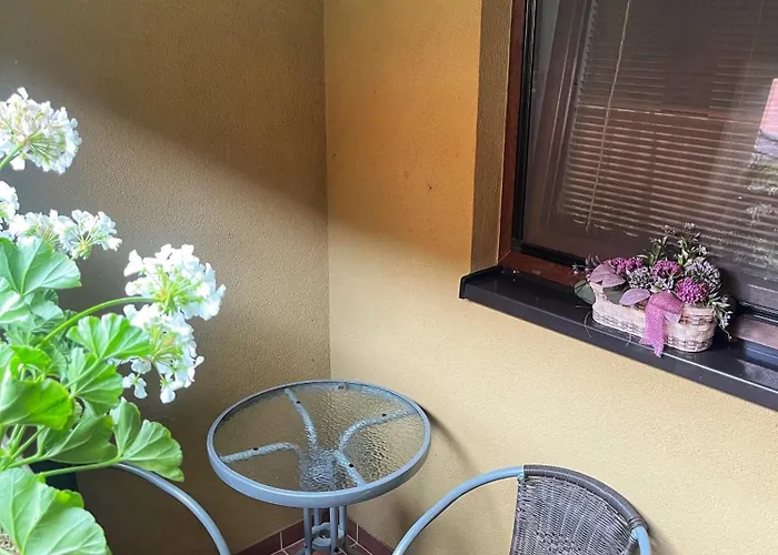 Ubytovani V Hovoranech Hovoranyの写真