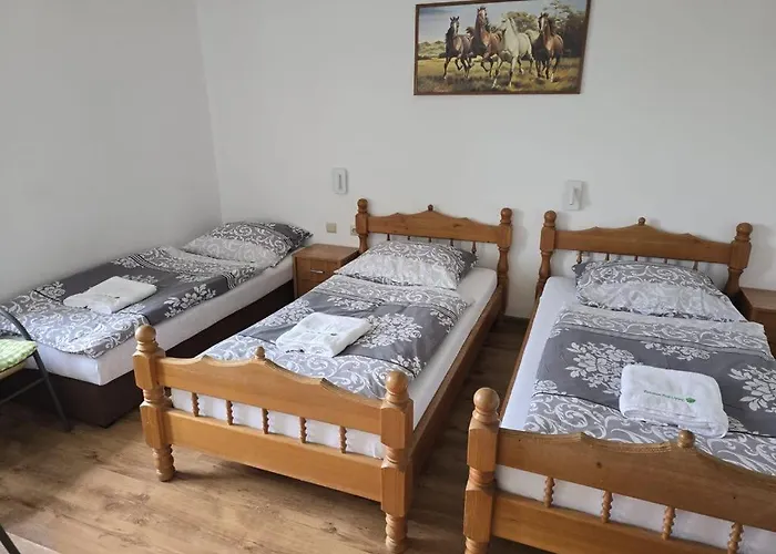 Pension Pod Lipou Nova Ves v Horach Foto