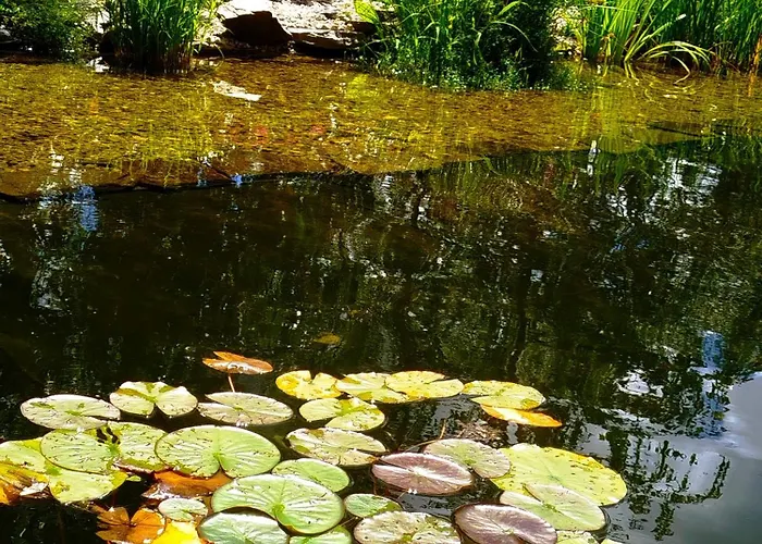 Apartmán Jílová tvrz Rožmberk nad Vltavou fotorgafie