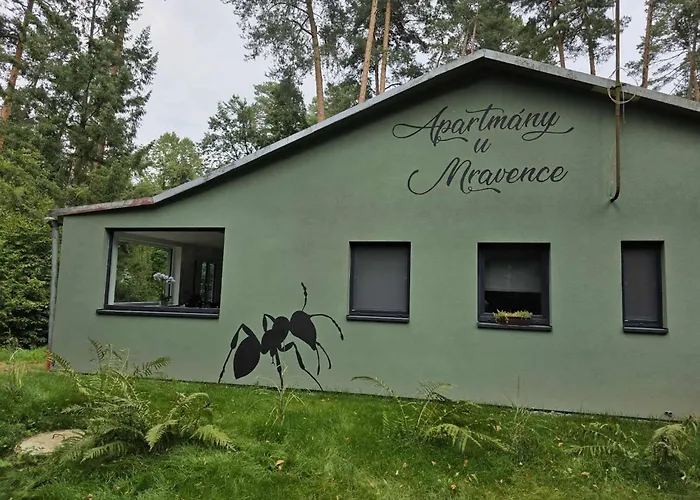 Apartmany U Mravence Stary Petrin foto