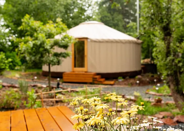 Фото Апартаменты Jurta V Pastvinach Трутнов