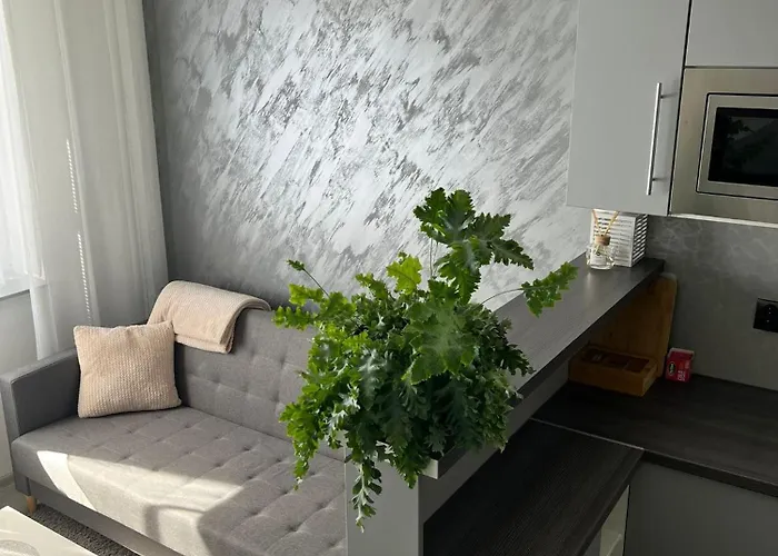 Luxusni Apartman V Blizkosti Centra Mesta,Wifi, Netxlix Hradec Králové foto