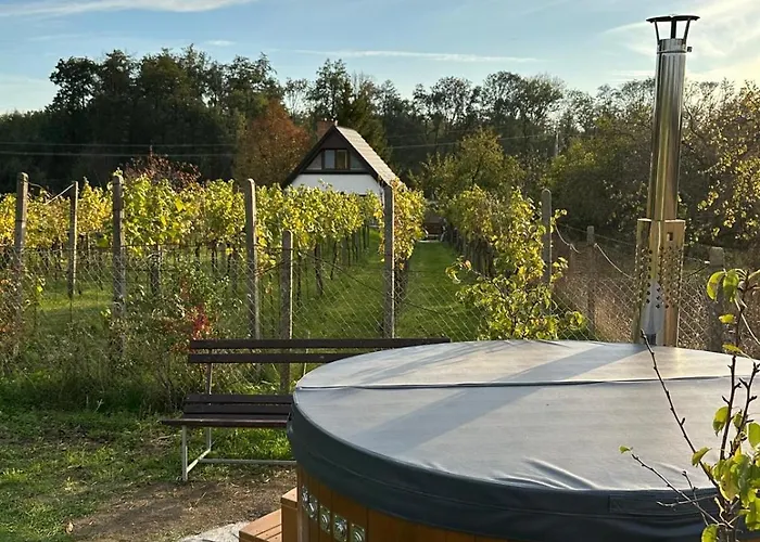 Wine & Relax Mezi Sklepy Villa Valtrovice fotoğrafı
