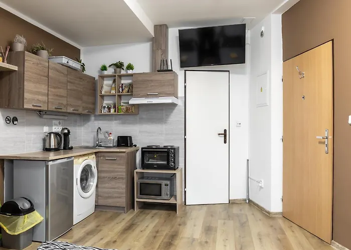 Ubytovani U Paji Kynšperk nad Ohříの写真