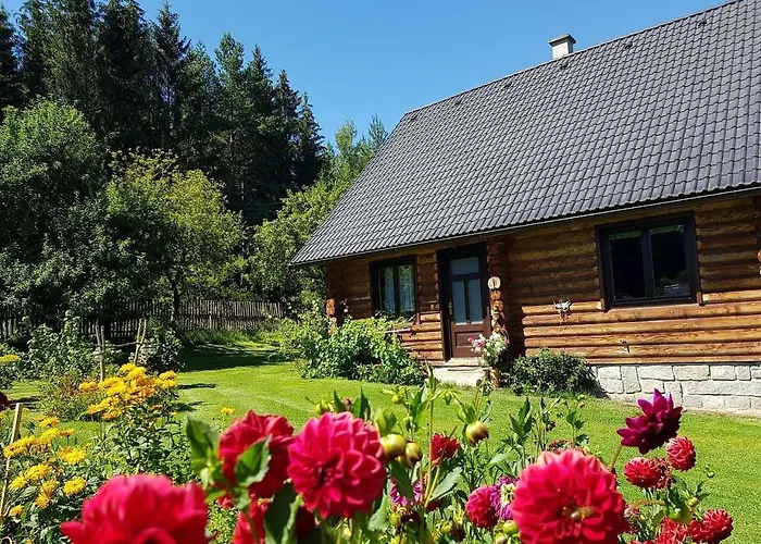 Srub Karpatsky Villa Vlceves photo