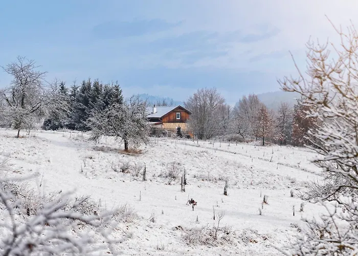 הוילה Trebcice Na Samote U Trate תמונה