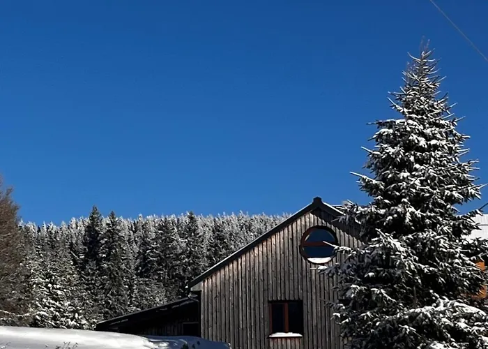 Apartmany Jeleni Vrch Nové Hamry foto