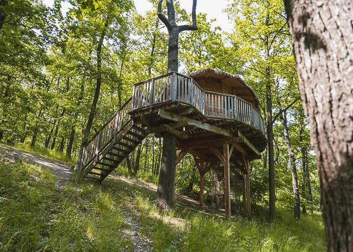 Hotel Tree House U Mravence Jinacovice fotorgafie