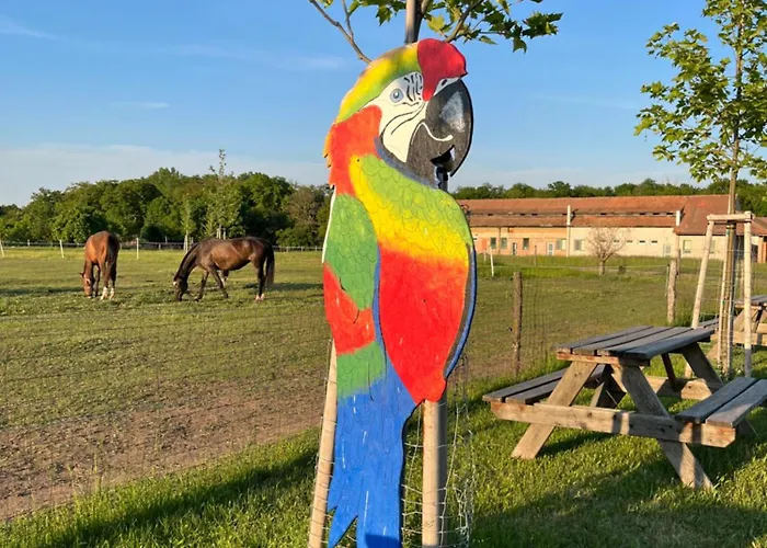 Zoofarma Penzion Konirna Bozice zdjęcie
