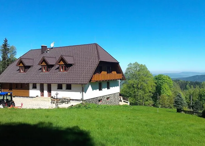 Hotel Konig-In Hojsova Stráž zdjęcie