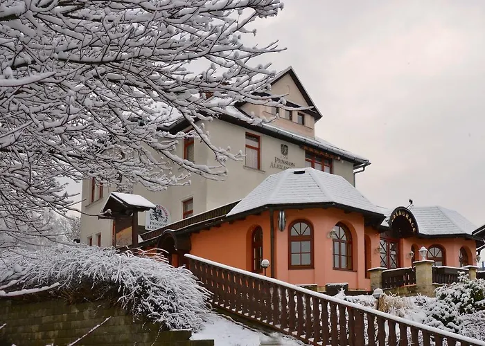 Pension Alexander Jilemnice photo
