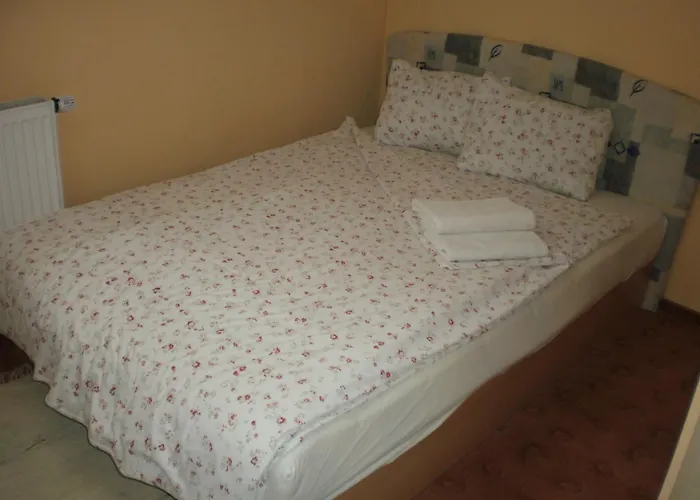 Penzion U Pece Siluvky photo