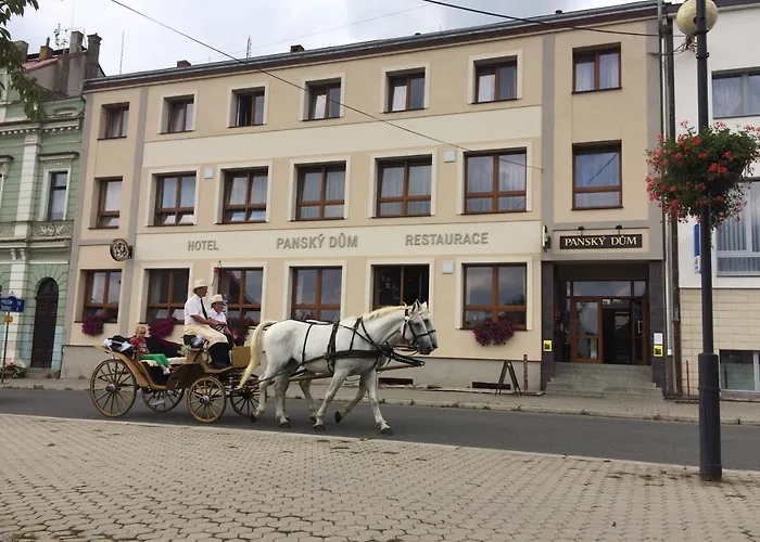 Hotel Pansky Dum Blovice photo