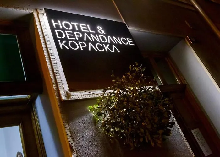 Photo de Hotel&Depandance Kopacka Lanškroun