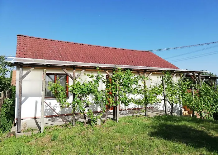 Apartman S Vinnym Sklepem Four Grapes Jevisovka foto